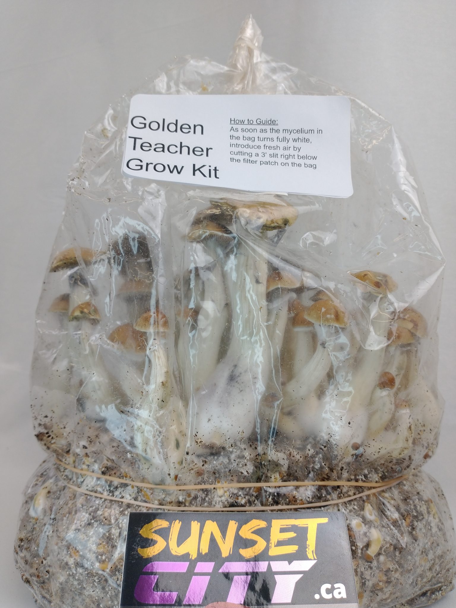 Canada Mushroom Grow Kit Beginner Friendly Sunset City   Magic Mushroom Grow Kit 1536x2048 